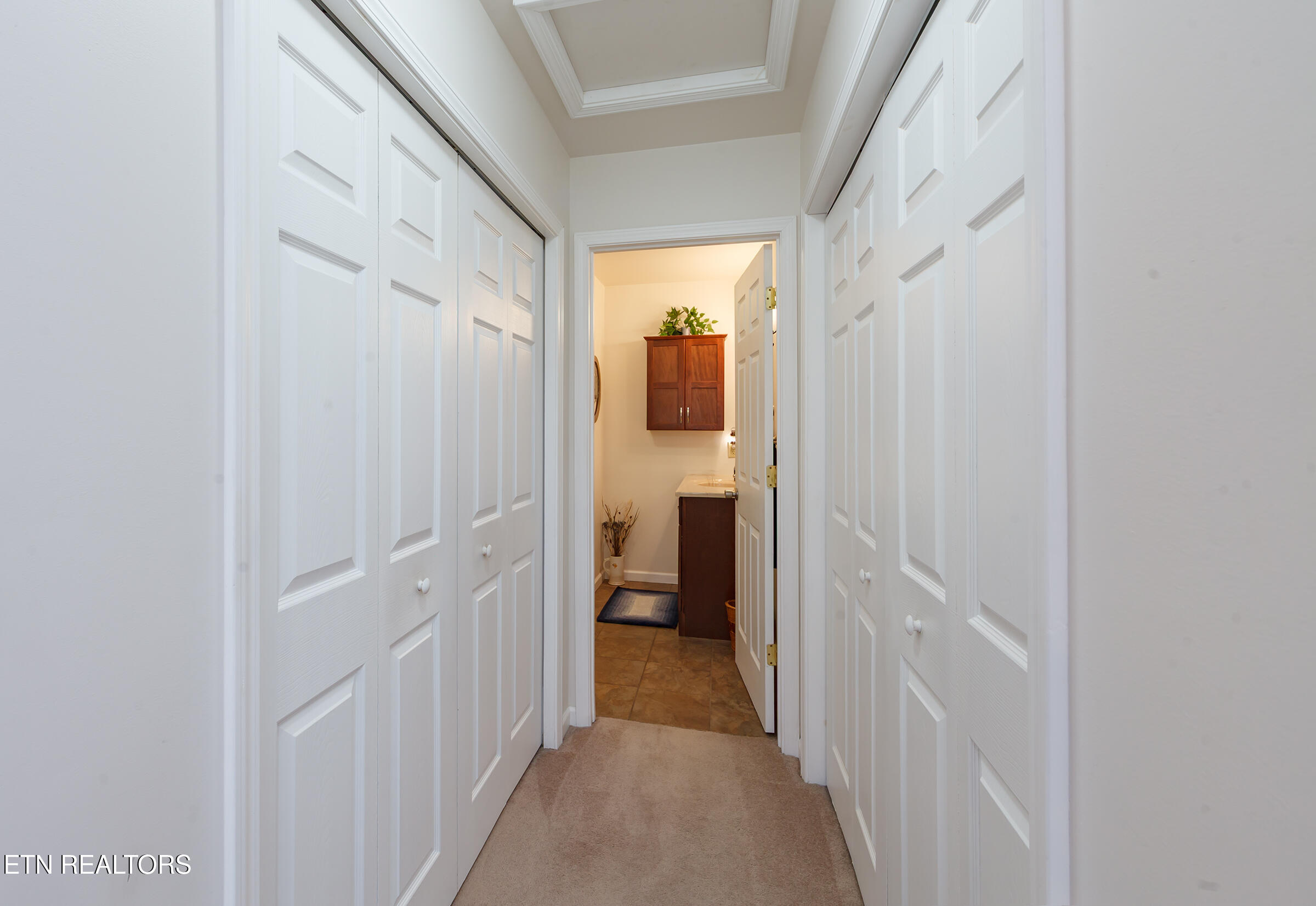 1505 Indian Warpath Road Sevierville, TN 37876 - Photo 20 of 60 20 closets