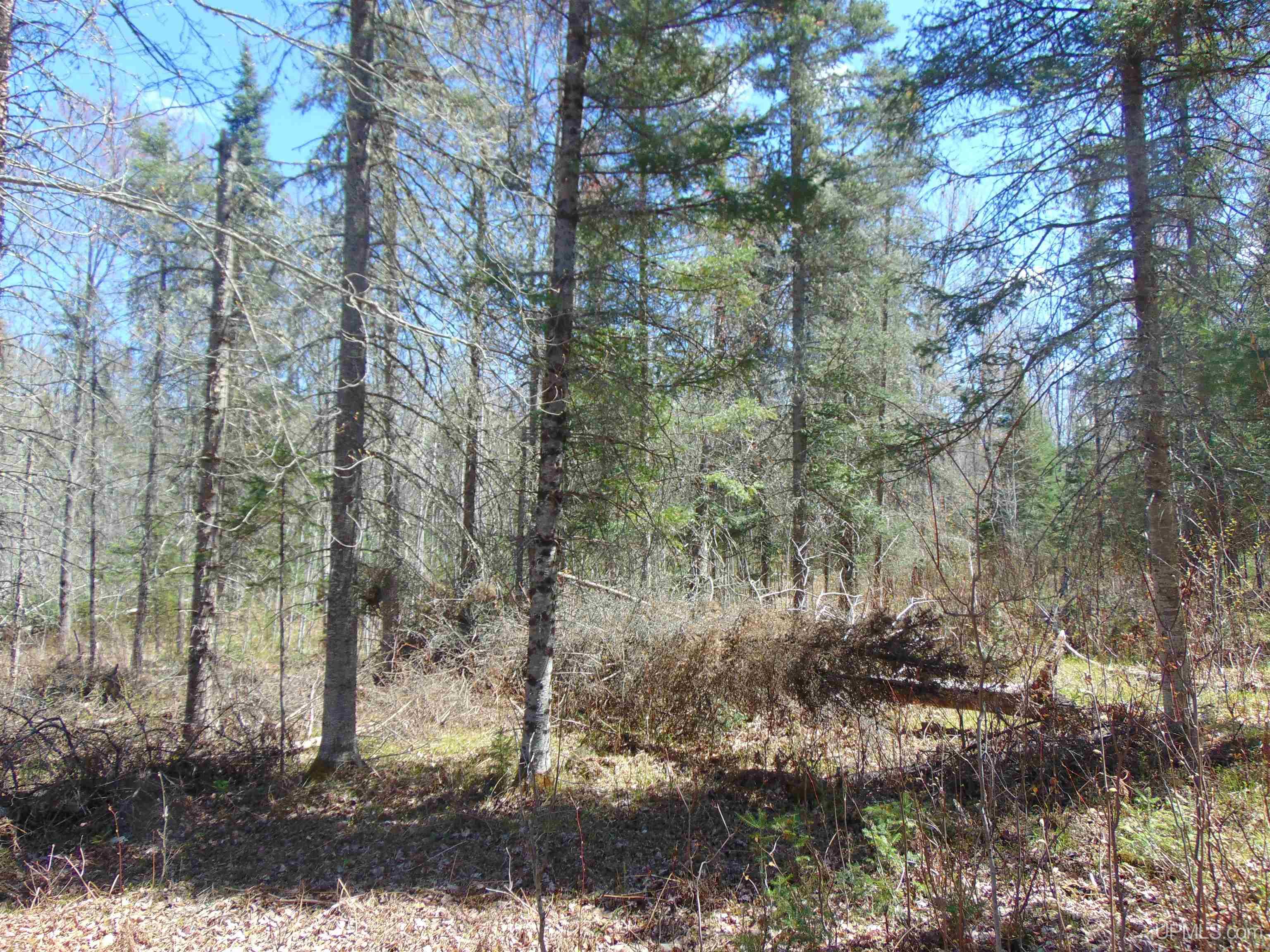 39 Sleepy Hollow Road Bruce Crossing, MI 49912 - Photo 13 of 24 Gallery Image 13