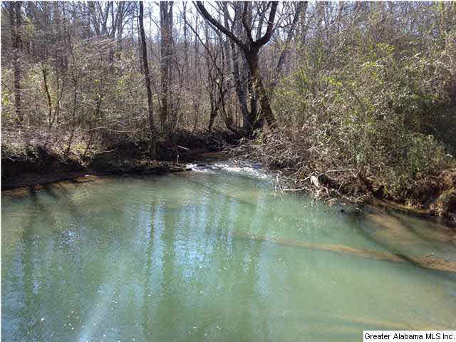 174 Highway Ac Al, Unit 75 Springville, AL 35146 - Photo 1 of 7