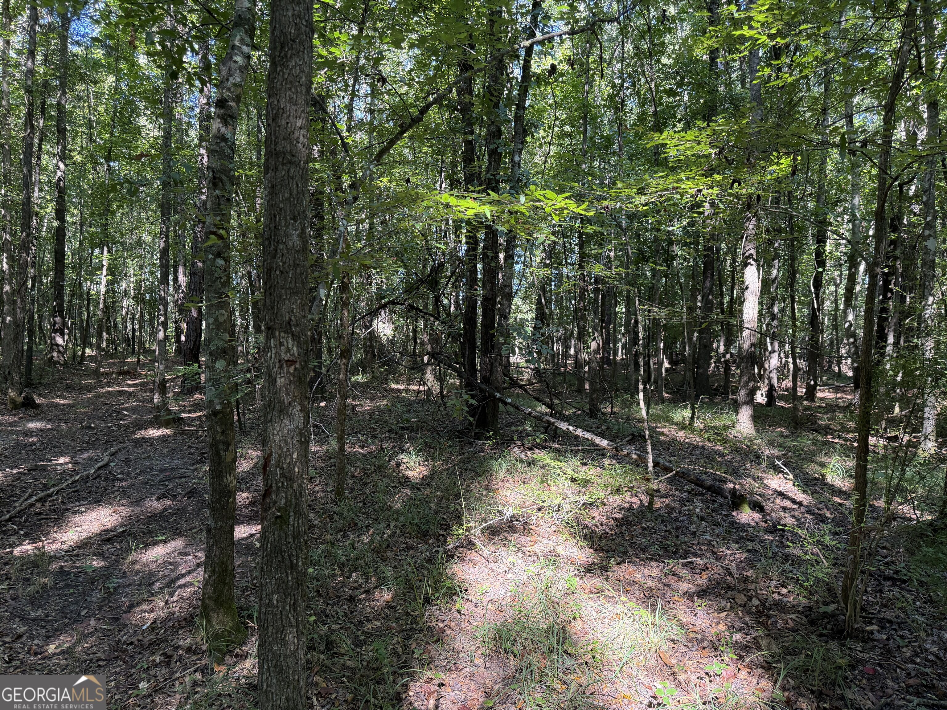 0 Pig Road Bartow, GA 30413 - Photo 15 of 44 Gallery Image 15