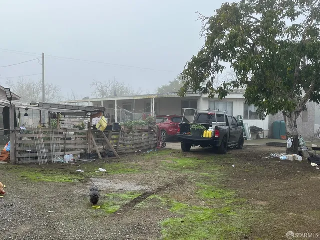 a view of a backyard