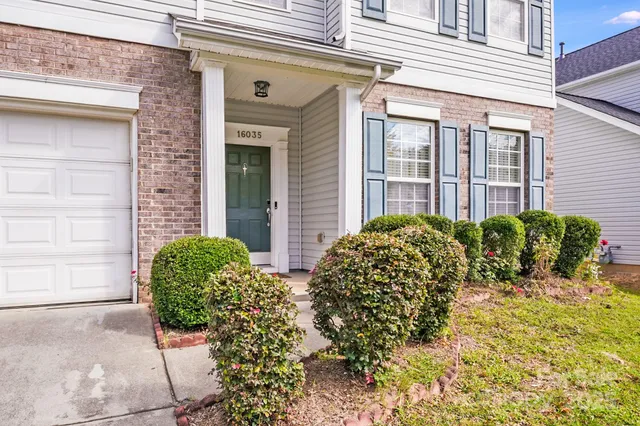 a view of a backyard with plants and a bench