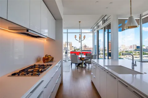 a kitchen with a sink a counter and a potted plant
