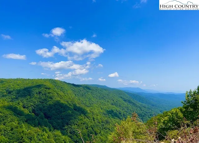 a view of a big yard with an outdoor space and street view