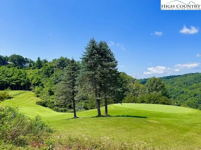 a view of yard with grass and trees