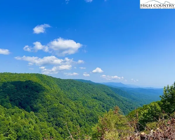 a view of a big yard with a house in the background