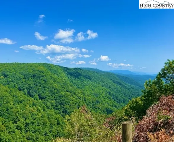 a view of a yard with plants and a building