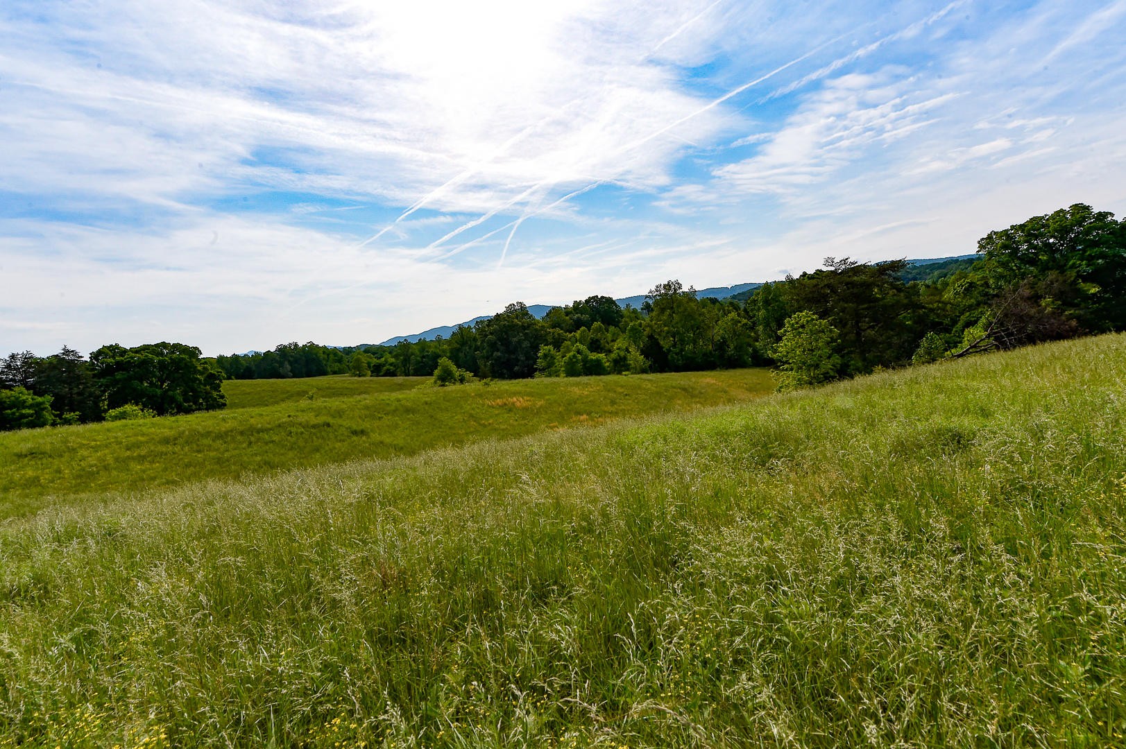0 Chilhowee View Road Maryville, TN 37803 - Photo 1 of 5 Gallery Image 1