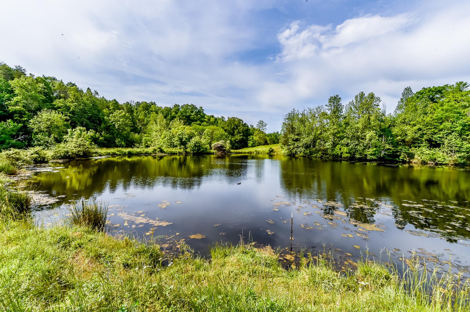 0 Chilhowee View Road Maryville, TN 37803 - Photo 3 of 5 Gallery Image 3
