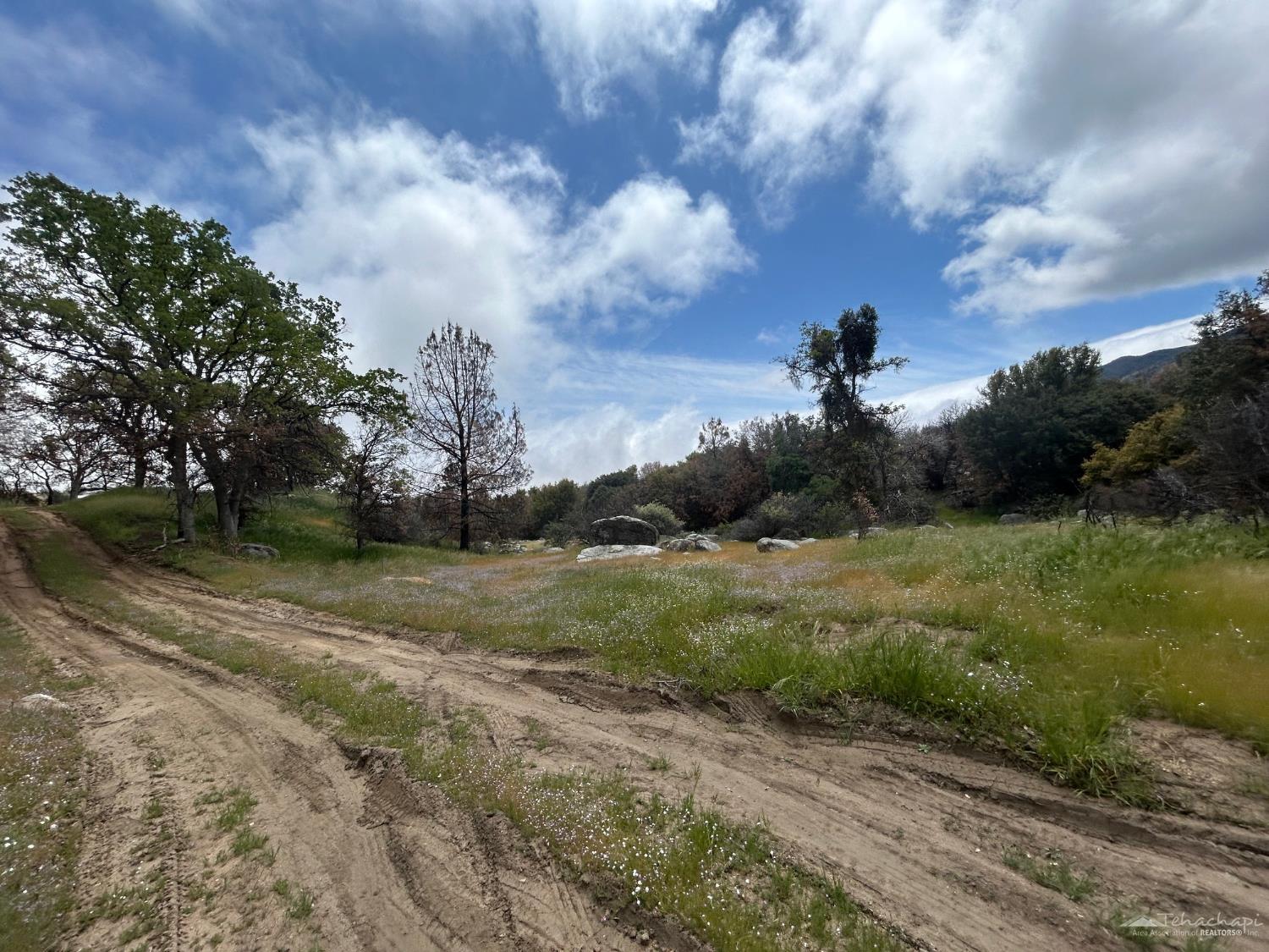 0 Foxtail Canyon Road Caliente, CA 93518 - Photo 18 of 21 Gallery Image 18
