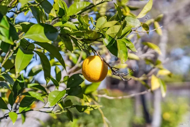 $1,195,000 | 14 Jefferson Court, Novato, CA 94947