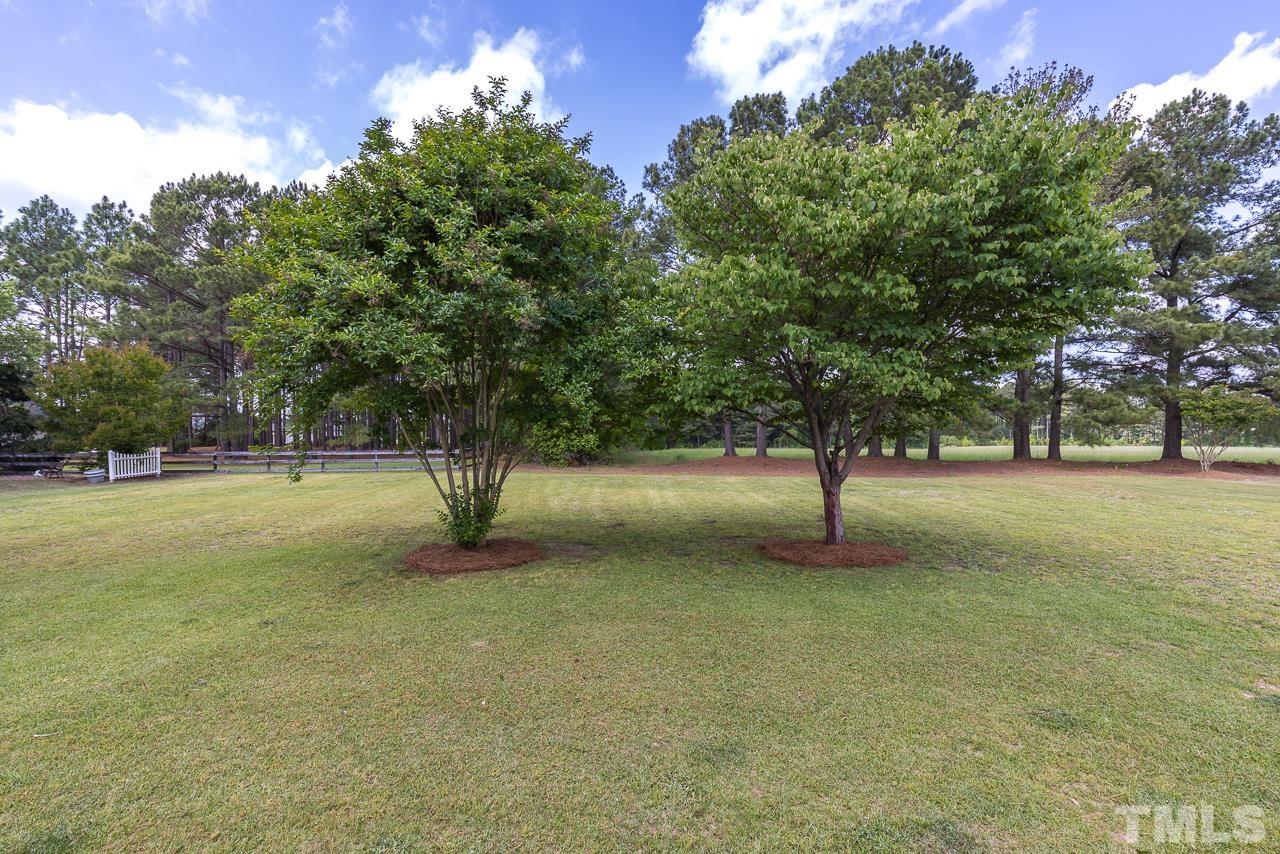 65 Bess Lane Angier, NC 27501 - Photo 38 of 38 a view of outdoor space with garden