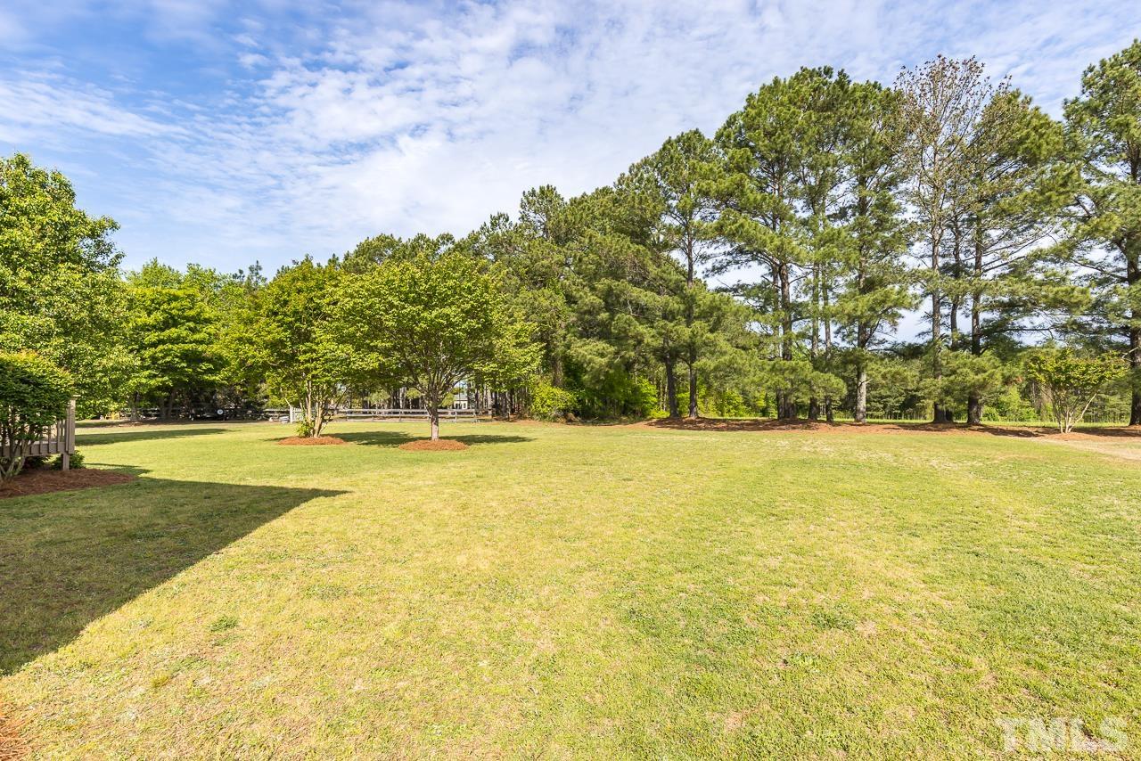 65 Bess Lane Angier, NC 27501 - Photo 5 of 38 a view of yard outdoor space with swimming pool