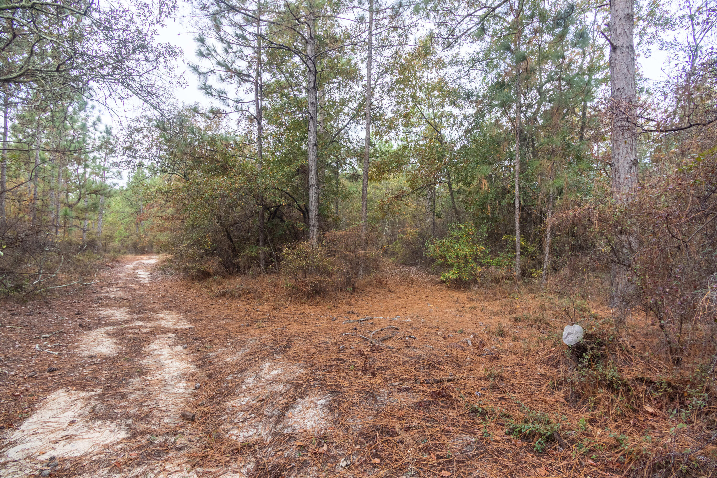 0 Ridgecrest Road Graniteville, SC 29829 - Photo 4 of 9