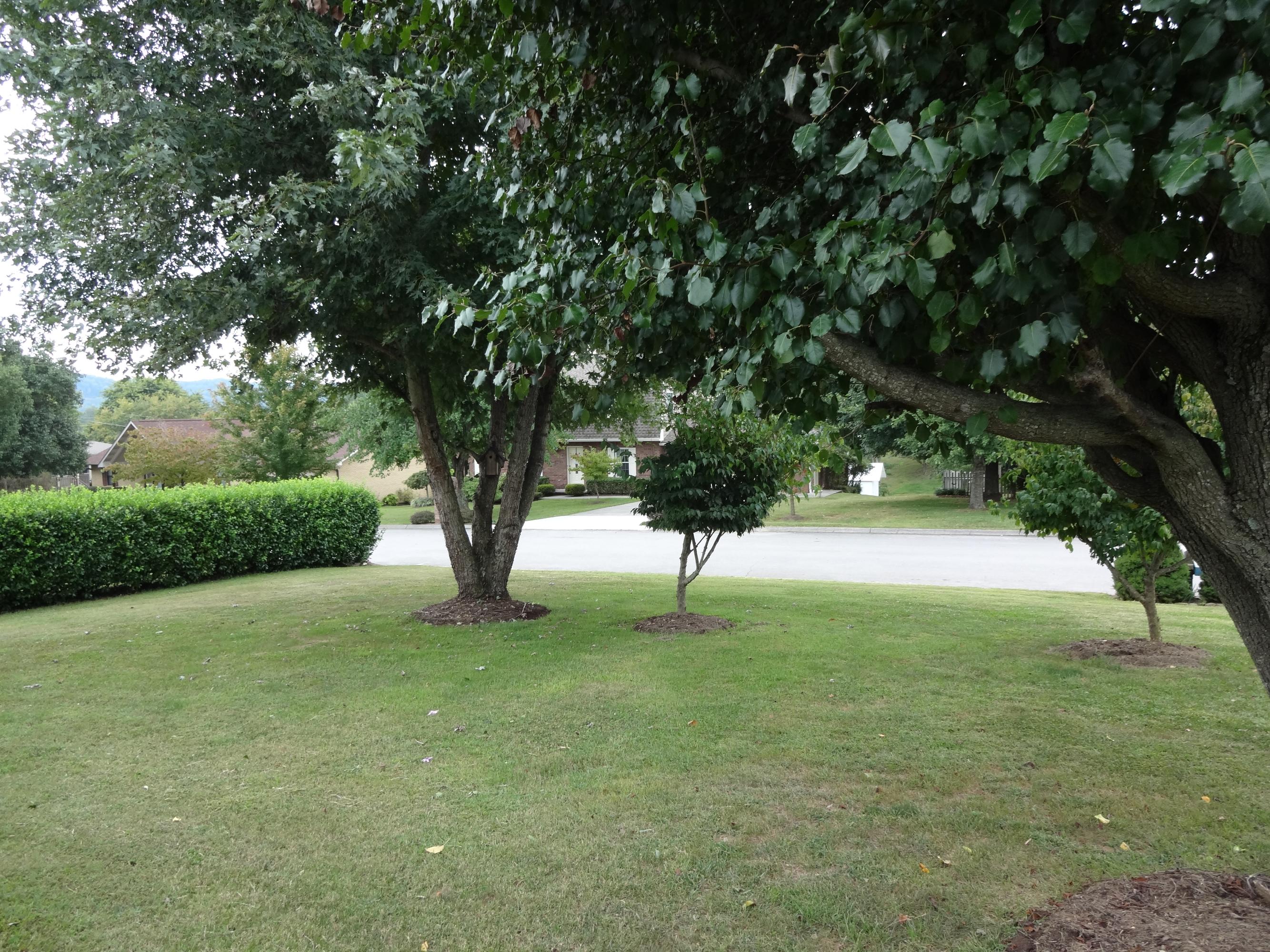 7712 Norwich Road, Unit 18 Powell, TN 37849 - Photo 17 of 34 Front yard