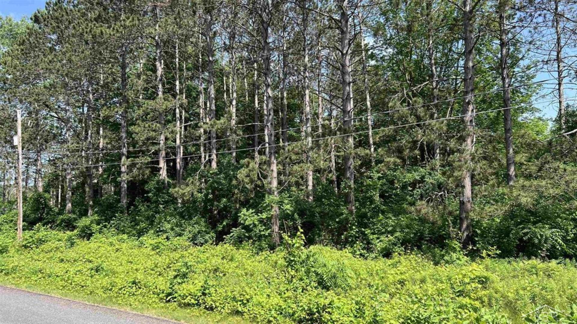 Vl West Ingham Road Sanford, MI 48657 - Photo 3 of 4