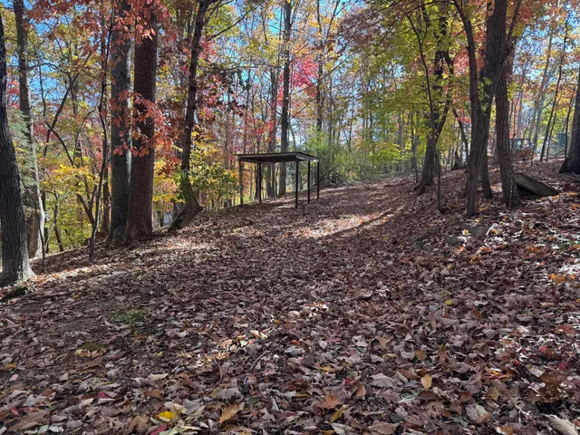 a backyard of a house with large trees
