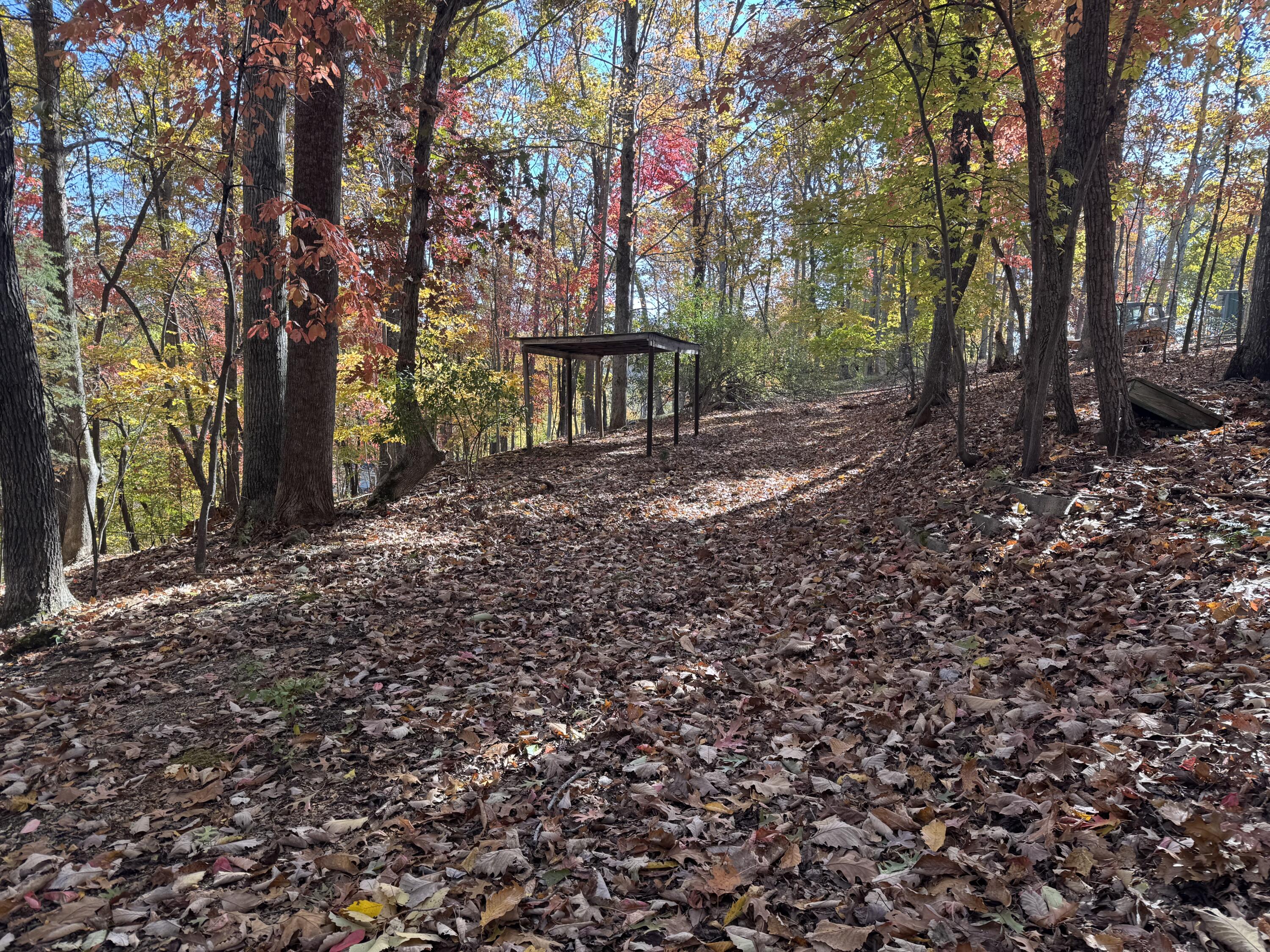 Lot2 Snidow Drive Goodview, VA 24095 - Photo 4 of 8 a view of a tree in the middle of a yard