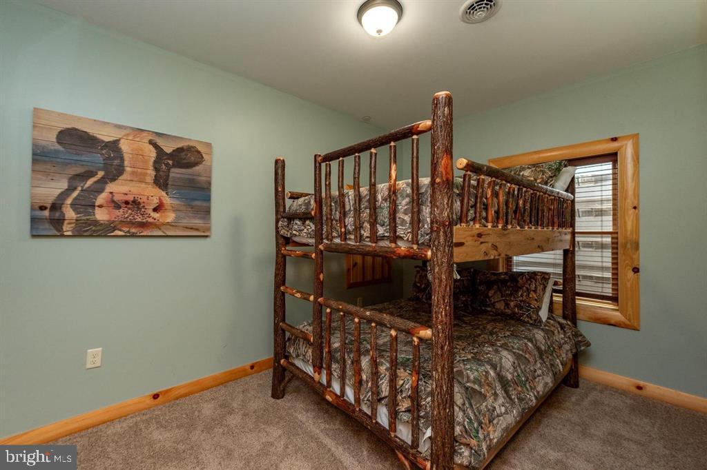 260 Biltmore Rdg Trail McHenry, MD 21541 - Photo 41 of 56