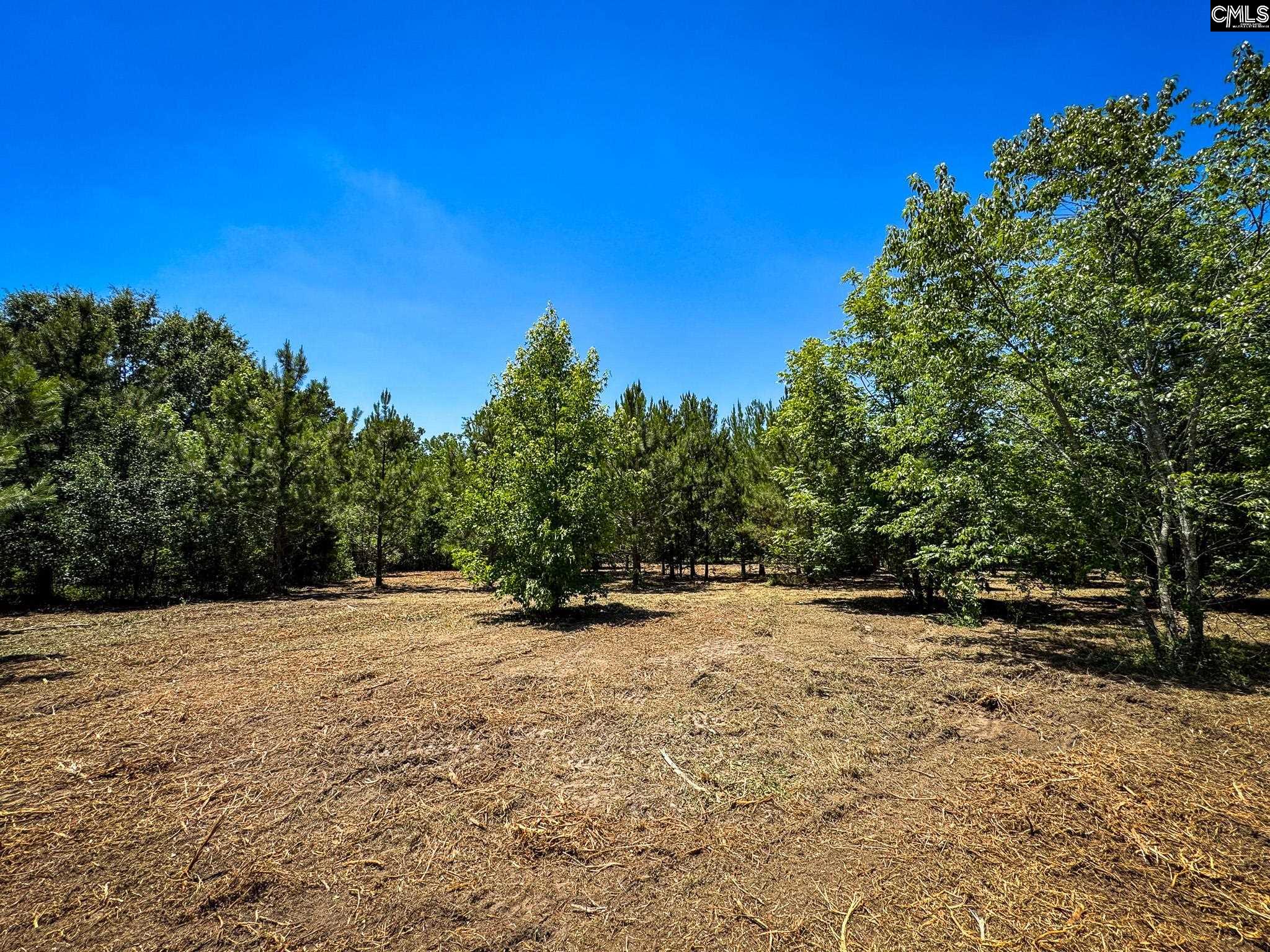 0 South Bethlehem Road, Unit LOT 2 Batesburg, SC 29006 - Photo 4 of 8