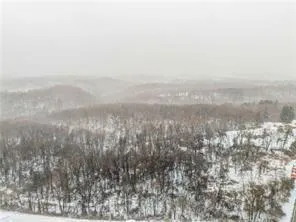 a view of a dry yard