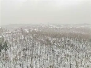 $9,500,000 | 0 Spring Run Road, Crescent, PA 15108