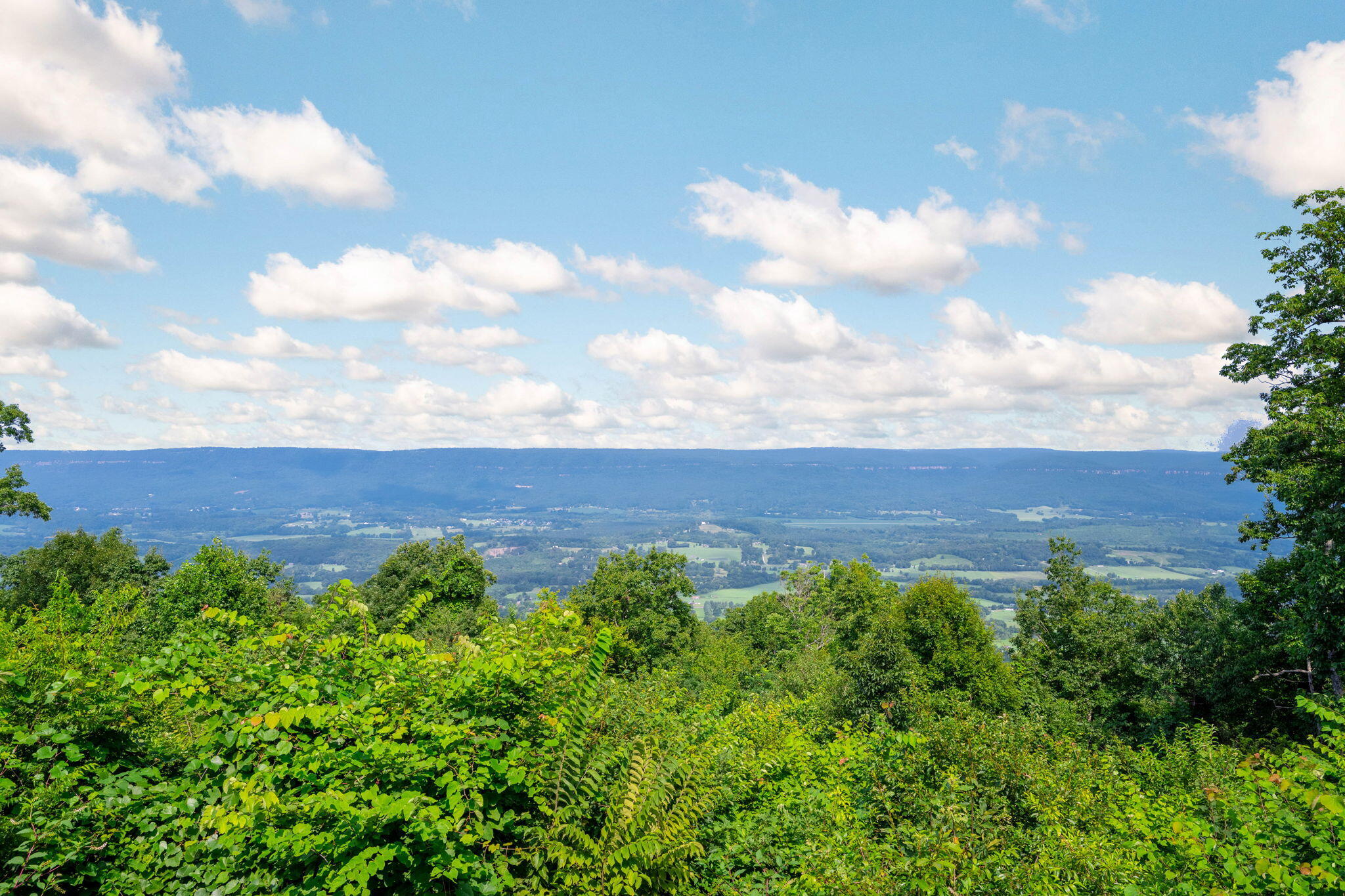 2255 Big Fork Road Chattanooga, TN 37405 - Photo 44 of 44 46-web-or-mls-DSC_8649