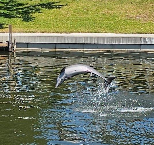 4 Windsor Drive Englewood, FL 34223 - Photo 2 of 61