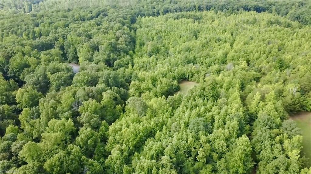 0 Farmer Road Denton, NC 27239 - Photo 12 of 19