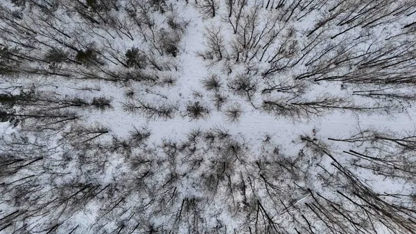 $625,000 | Tbd County Rd JJ, Appleton, WI 54913