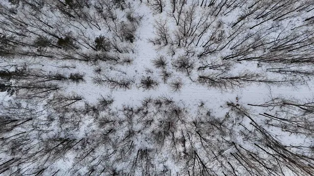 $625,000 | Tbd County Rd JJ, Appleton, WI 54913