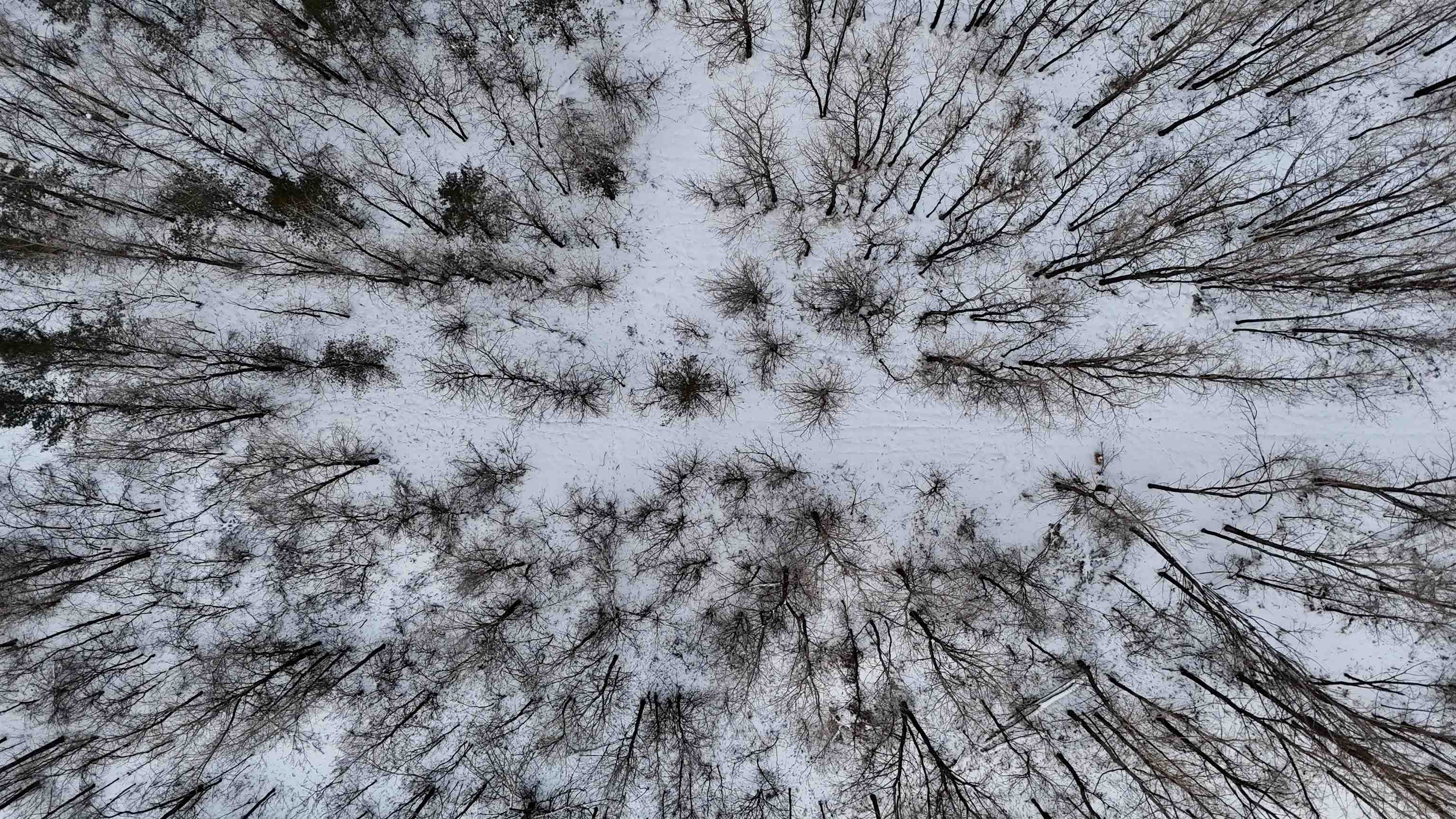 Tbd County Rd JJ Appleton, WI 54913 - Photo 13 of 45