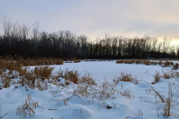 $625,000 | Tbd County Rd JJ, Appleton, WI 54913