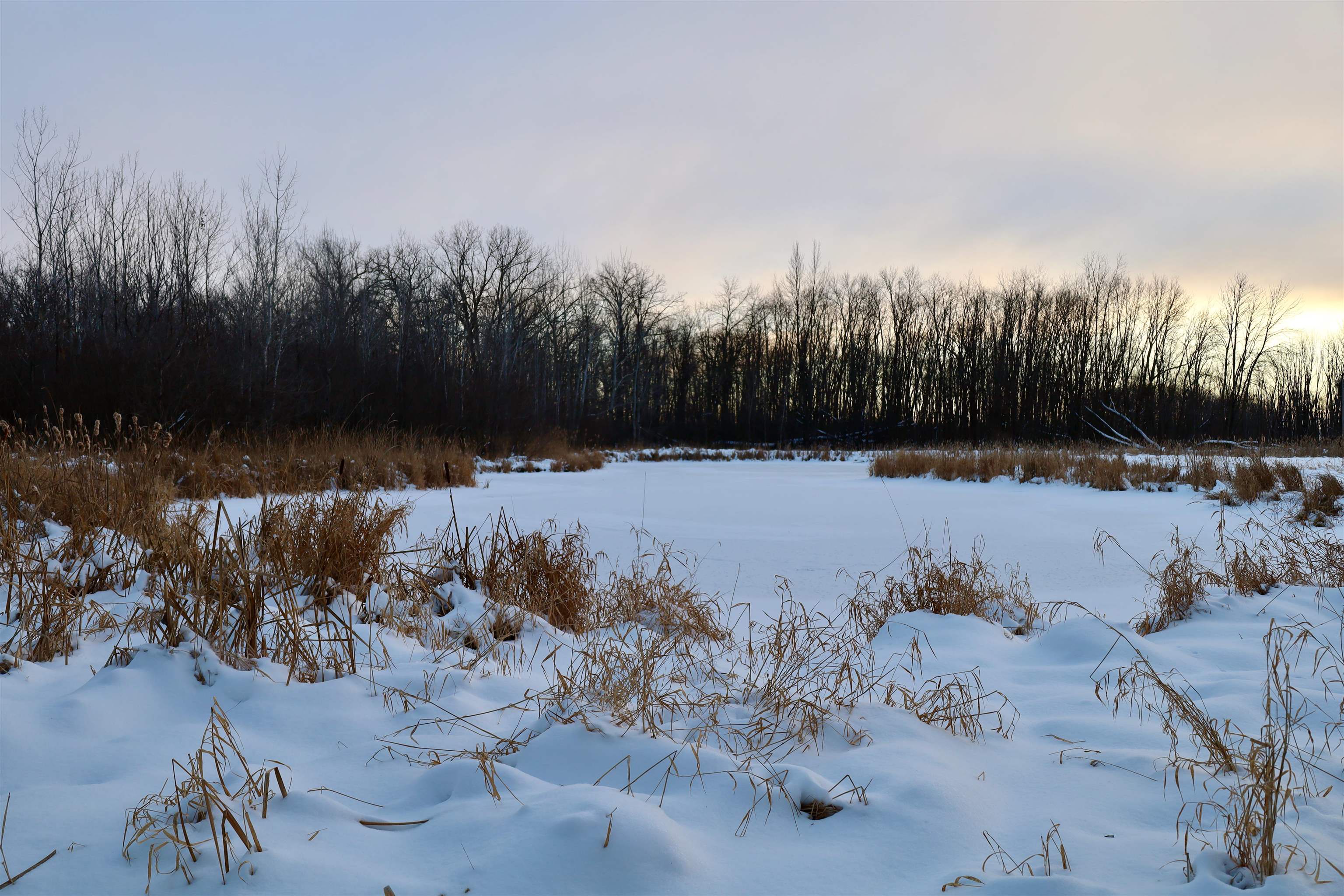 Tbd County Rd JJ Appleton, WI 54913 - Photo 19 of 45