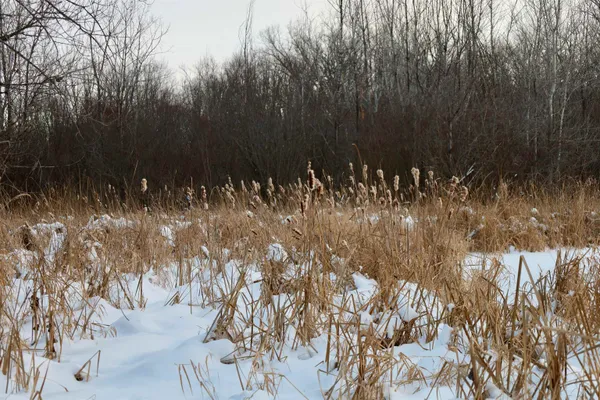 $625,000 | Tbd County Rd JJ, Appleton, WI 54913