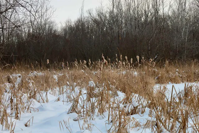 $625,000 | Tbd County Rd JJ, Appleton, WI 54913