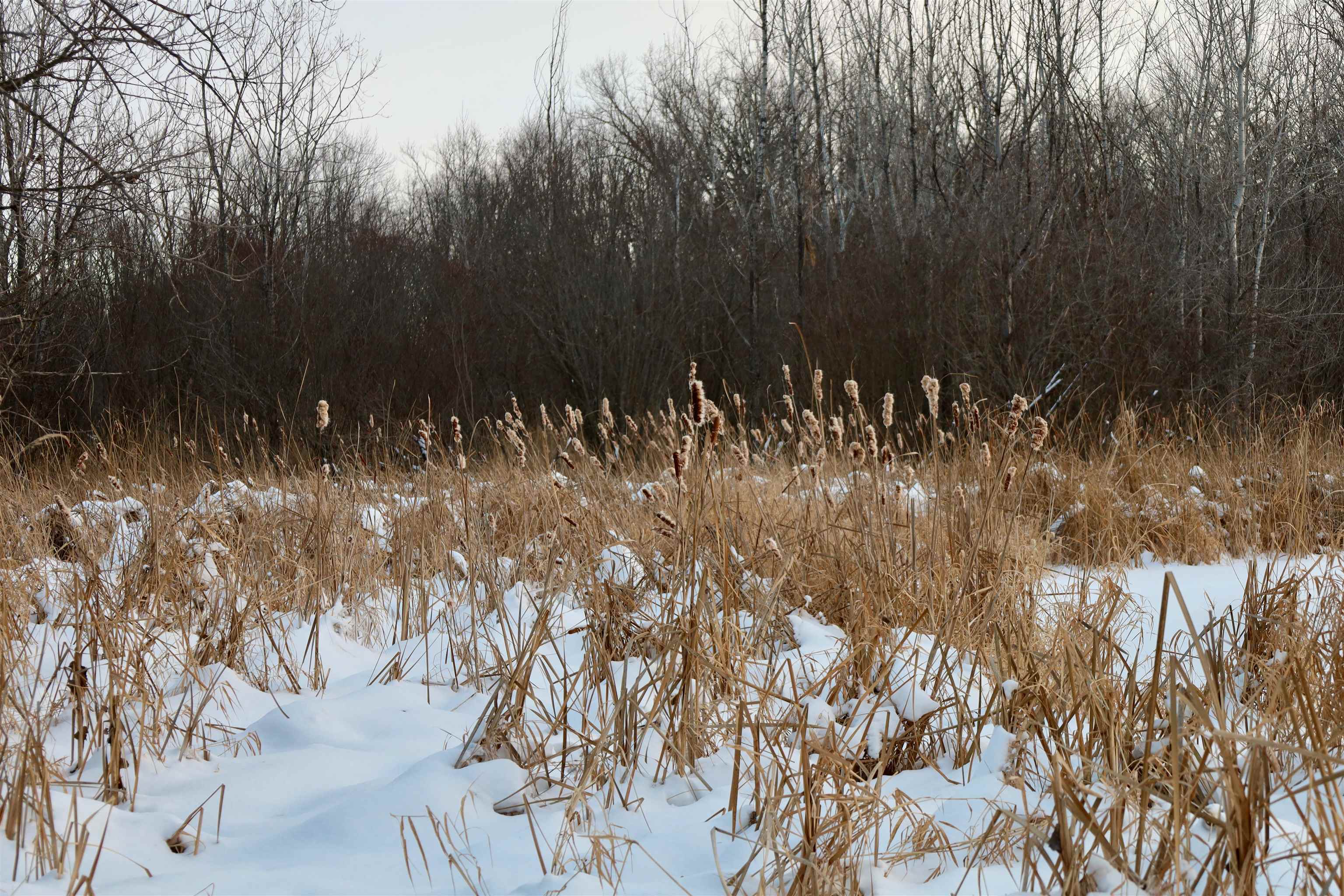 Tbd County Rd JJ Appleton, WI 54913 - Photo 20 of 45