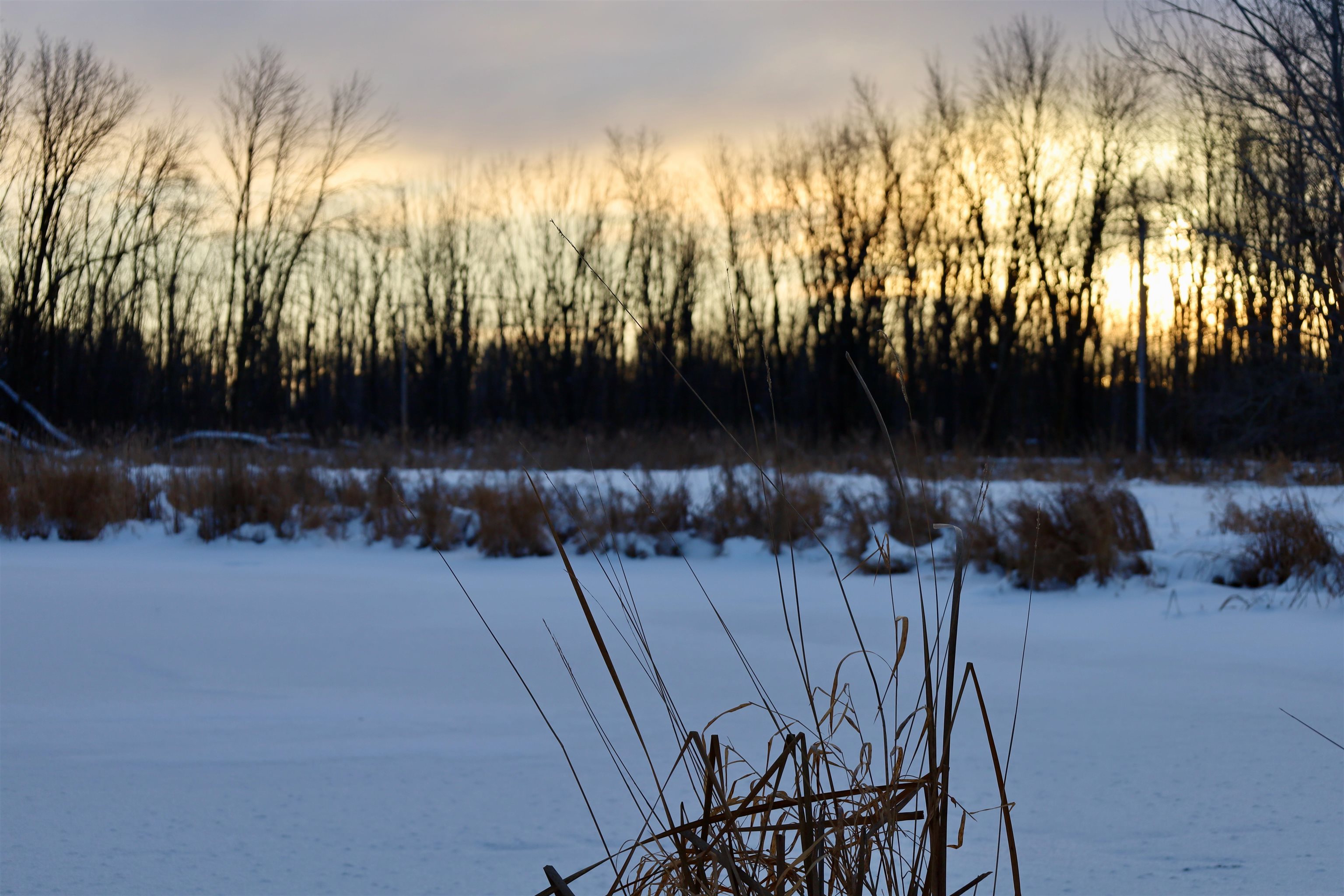 Tbd County Rd JJ Appleton, WI 54913 - Photo 21 of 45