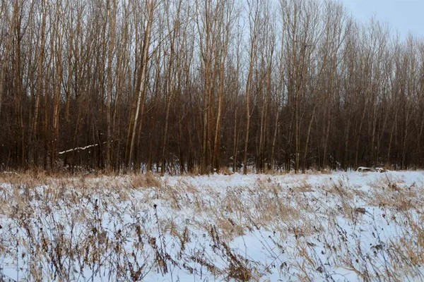 $625,000 | Tbd County Rd JJ, Appleton, WI 54913