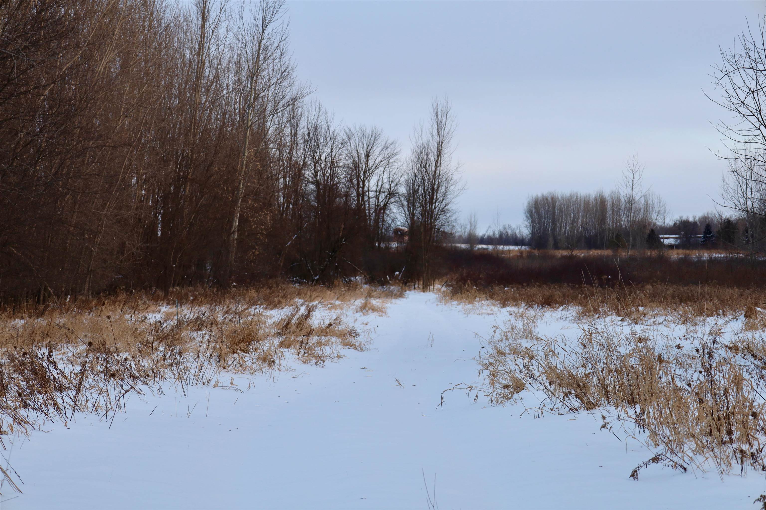 Tbd County Rd JJ Appleton, WI 54913 - Photo 23 of 45