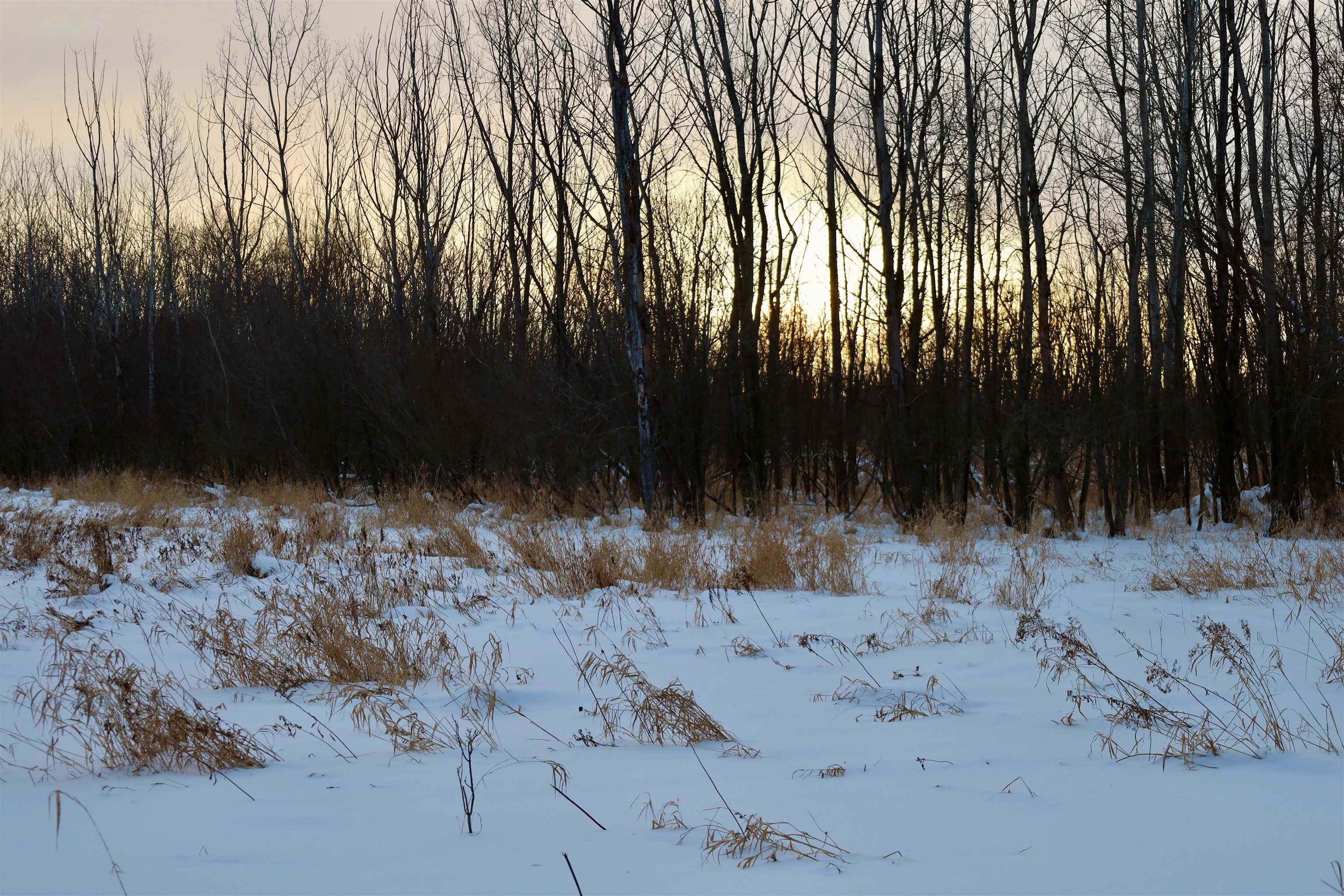 Tbd County Rd JJ Appleton, WI 54913 - Photo 24 of 45