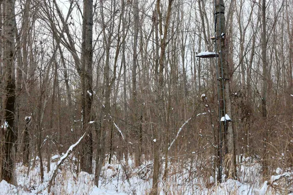 $625,000 | Tbd County Rd JJ, Appleton, WI 54913