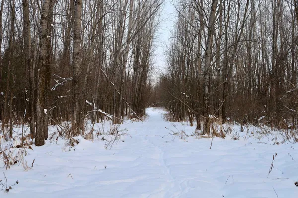 $625,000 | Tbd County Rd JJ, Appleton, WI 54913