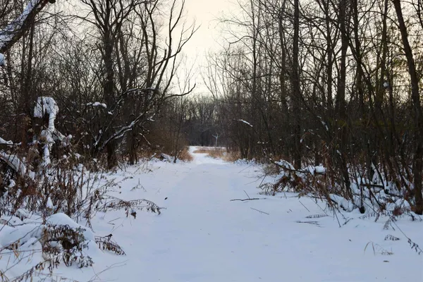 $625,000 | Tbd County Rd JJ, Appleton, WI 54913