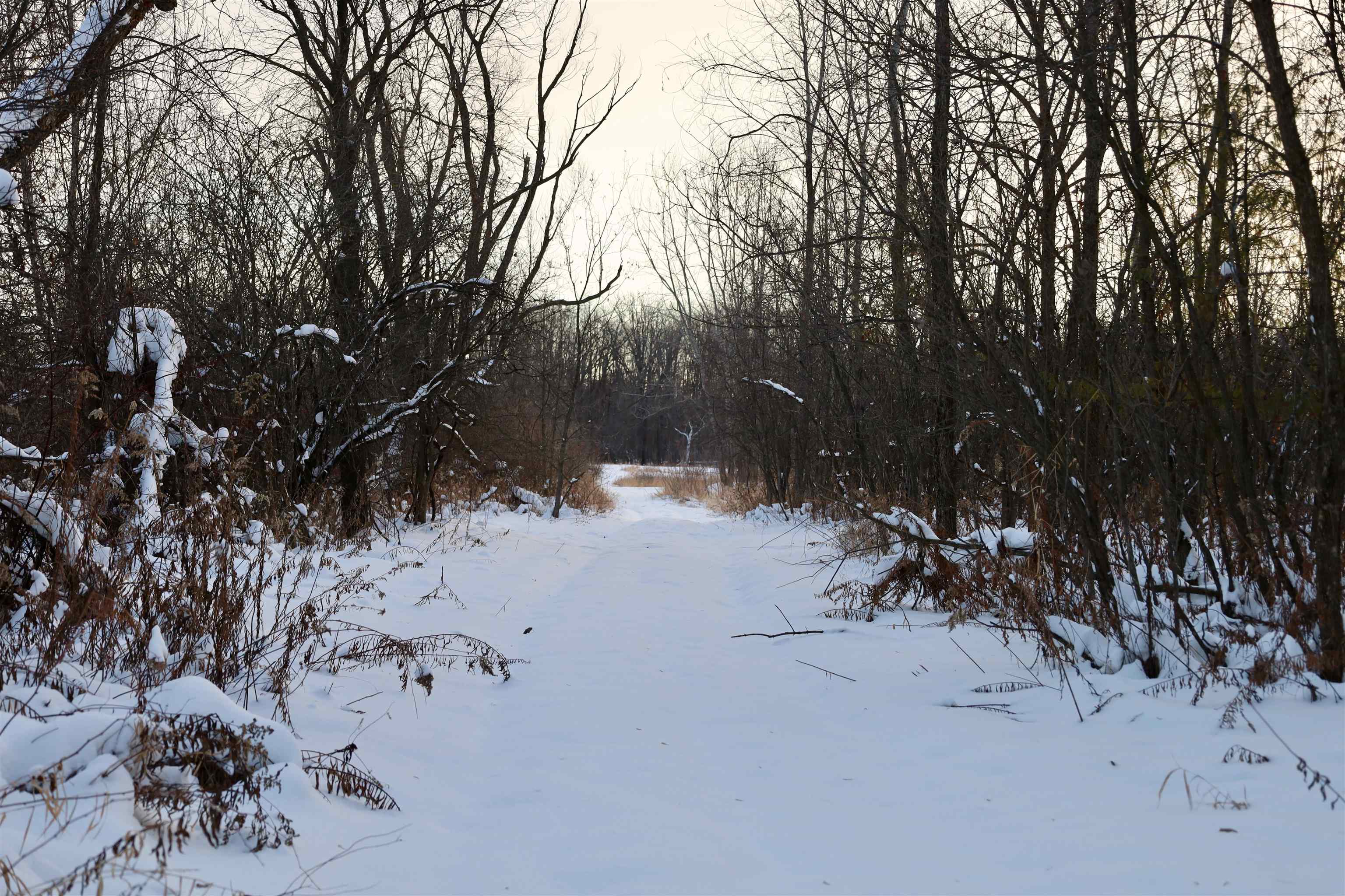 Tbd County Rd JJ Appleton, WI 54913 - Photo 28 of 45