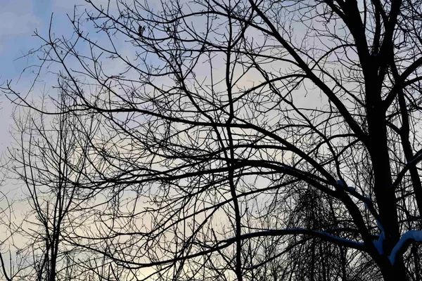 $625,000 | Tbd County Rd JJ, Appleton, WI 54913