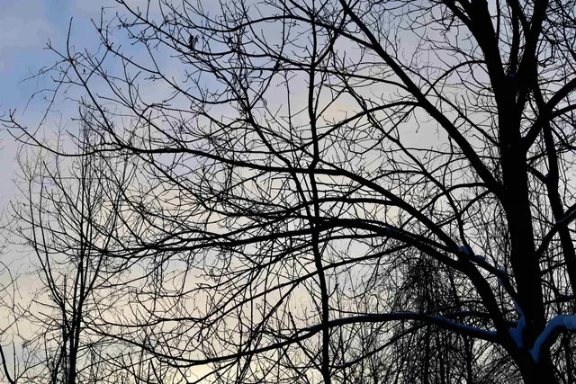 $625,000 | Tbd County Rd JJ, Appleton, WI 54913