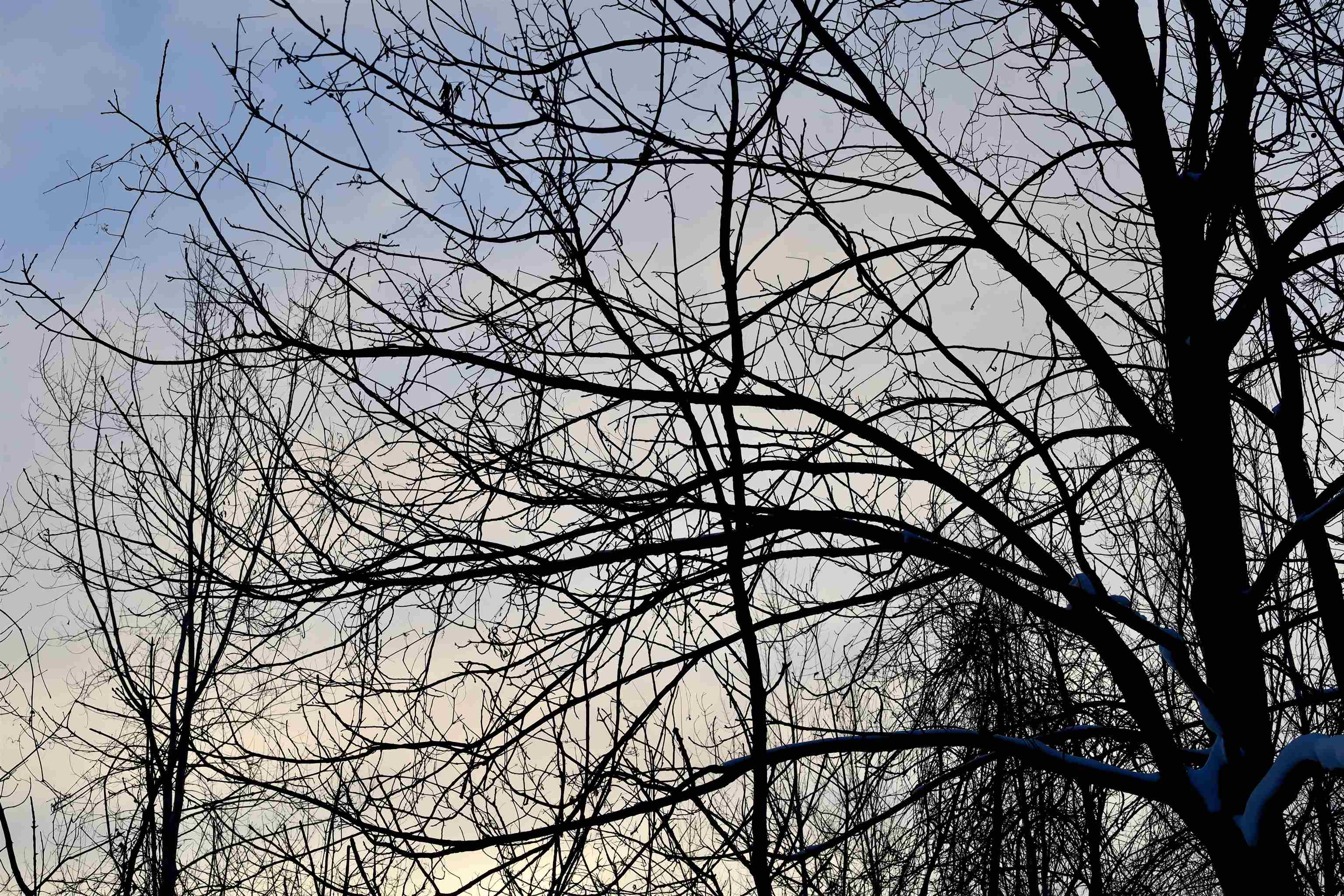 Tbd County Rd JJ Appleton, WI 54913 - Photo 29 of 45