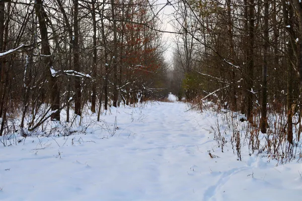 $625,000 | Tbd County Rd JJ, Appleton, WI 54913