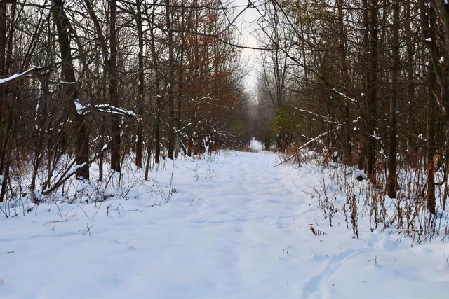 $625,000 | Tbd County Rd JJ, Appleton, WI 54913